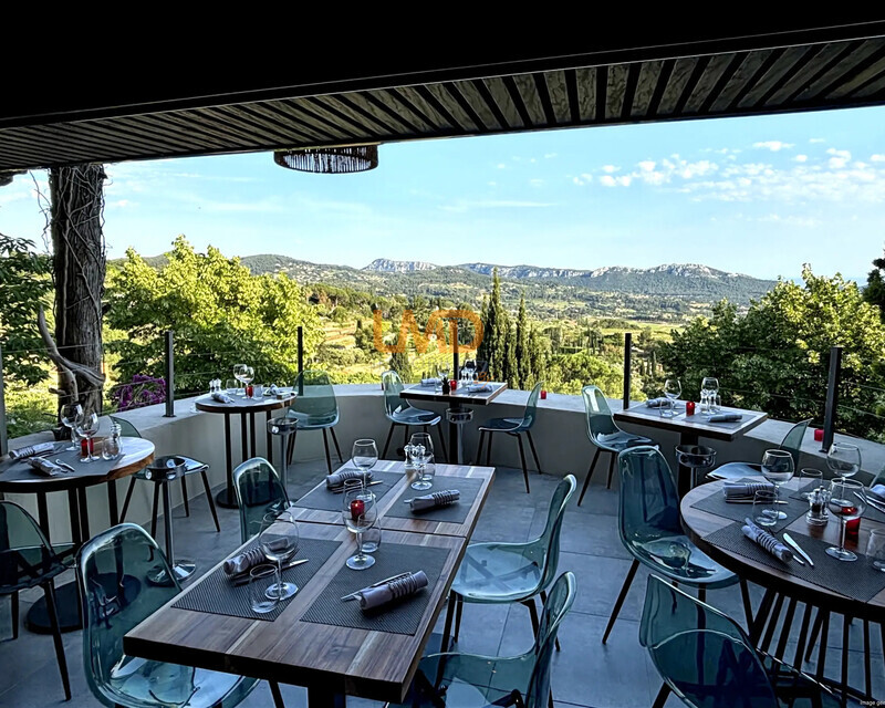 Restaurant emplacament n°1 - Terrasse - Vue panoramique - Ia generated 1759387736