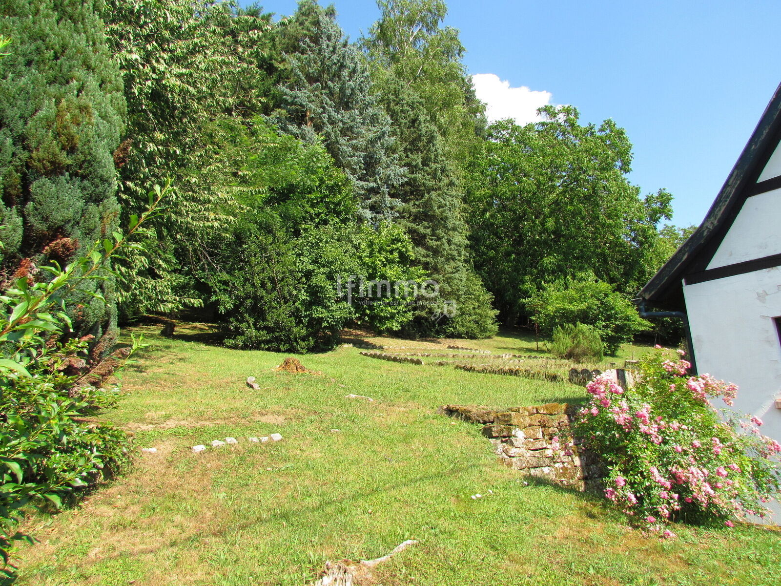 Maison alsacienne avec 2 dépendances, sur 33 ares - Img 3173