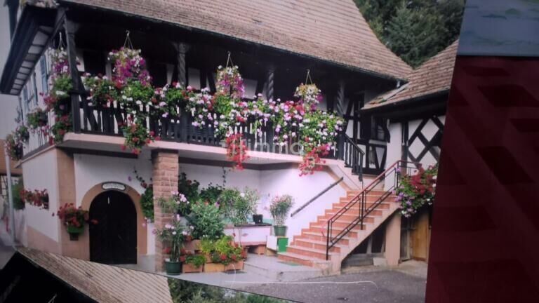 Maison alsacienne avec 2 dépendances, sur 33 ares - Wp 202103 21