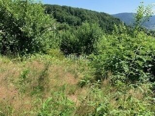 magnifique terrain viabilisé Saint Nabord - Terrain 2