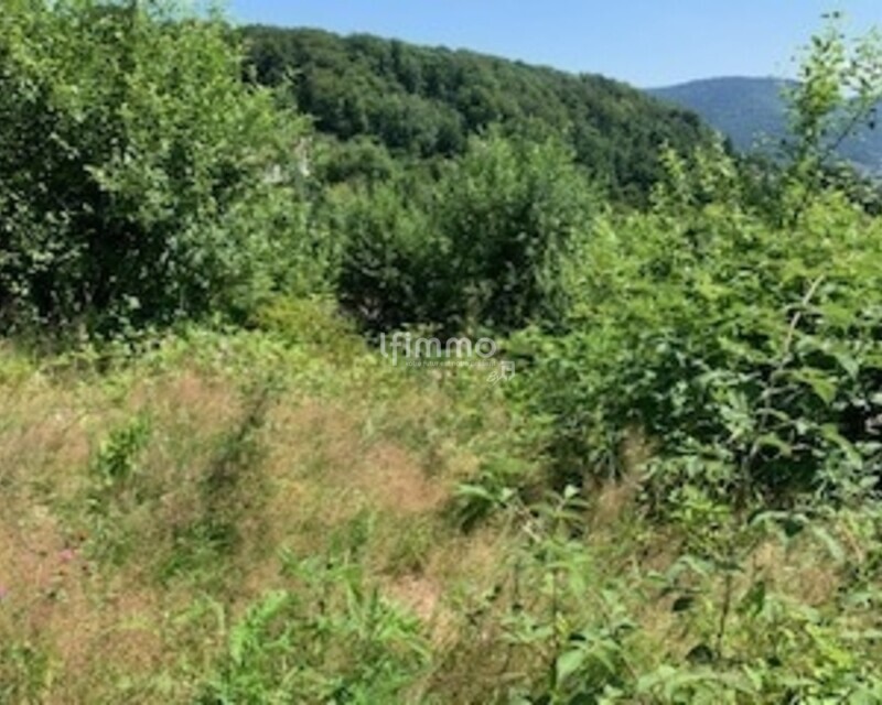 magnifique terrain viabilisé Saint Nabord - Terrain 2