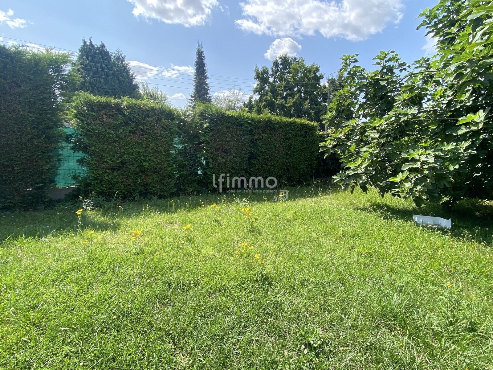 Maison proche du centre ville - Dji 20250805 124721 793