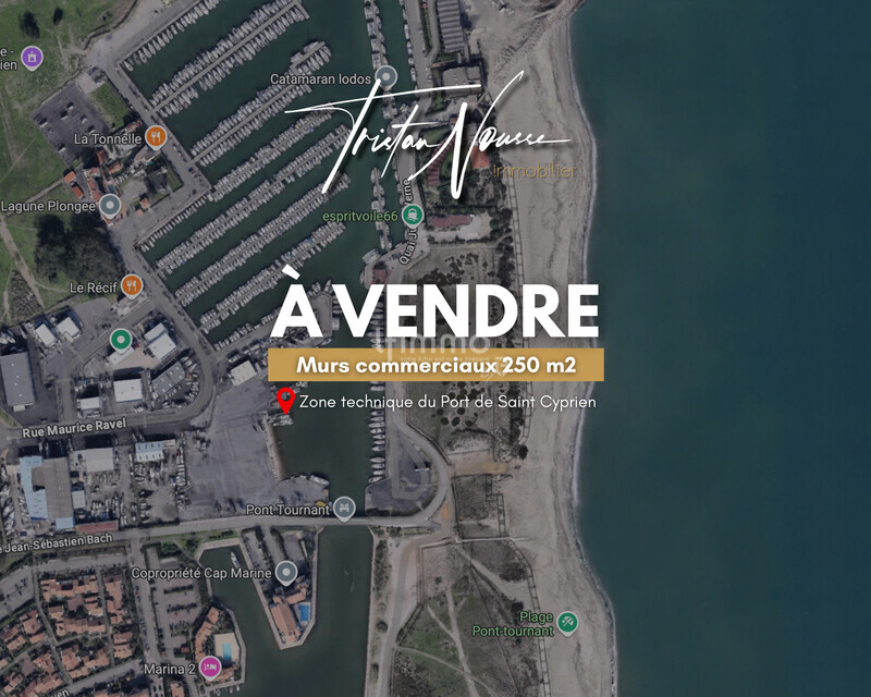 Murs commerciaux - 250 m2 - Saint Cyprien Zone technique du Port - Esteve st cyp