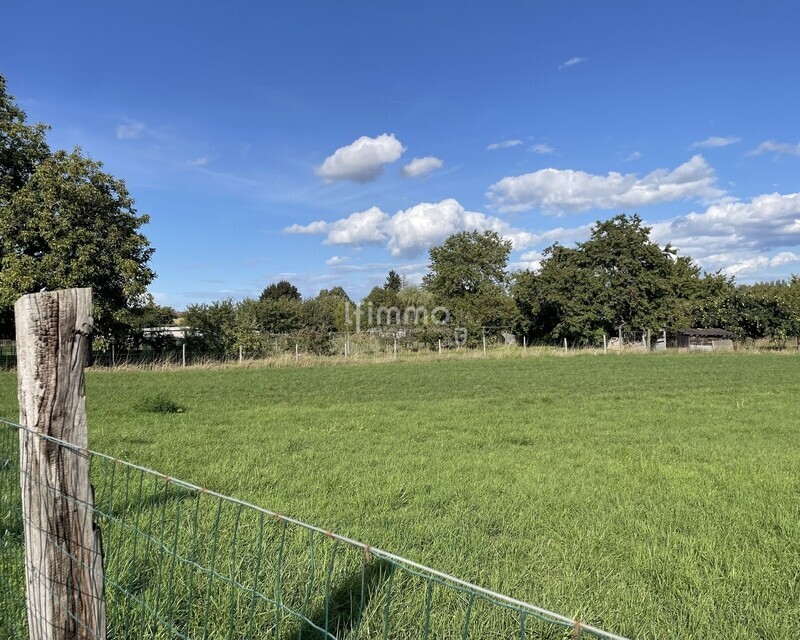 Beau terrain de loisir - Img 6079