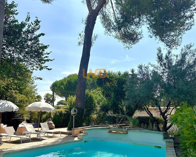 Demeure de charme - Piscine avec pin