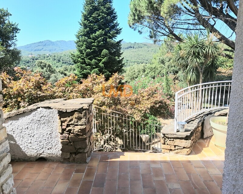 En Cevennes-maison de caractère! - 20250710 114658
