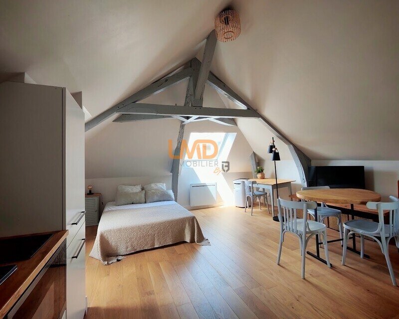 Studio lumineux au calme - Studio-rue-de-dinan-rennes-vue-cuisine-lit-eric-margely