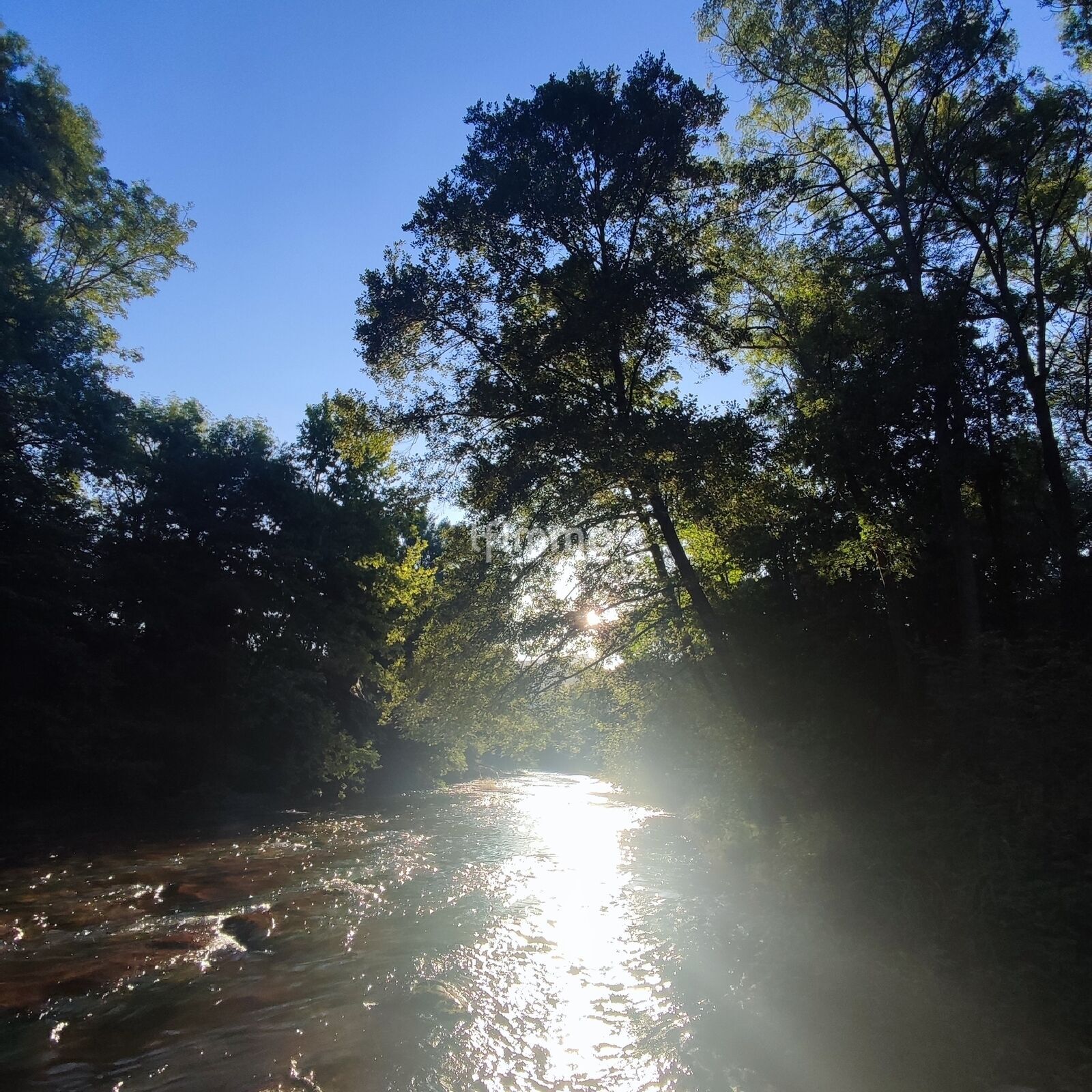 Villa T6 175M2 Avec accès rivière privatif et 2200M2 de terrain - Img 20240724 074721