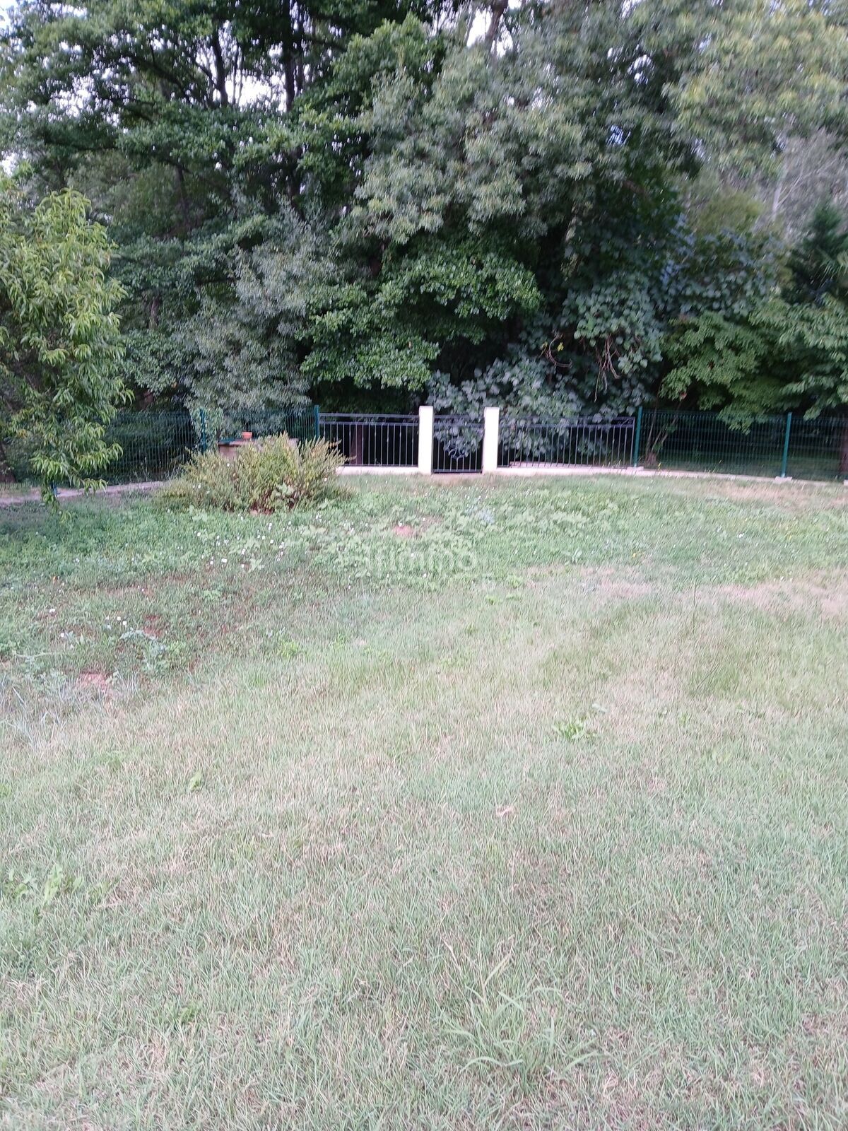 Villa T6 175M2 Avec accès rivière privatif et 2200M2 de terrain - 20250725 163304