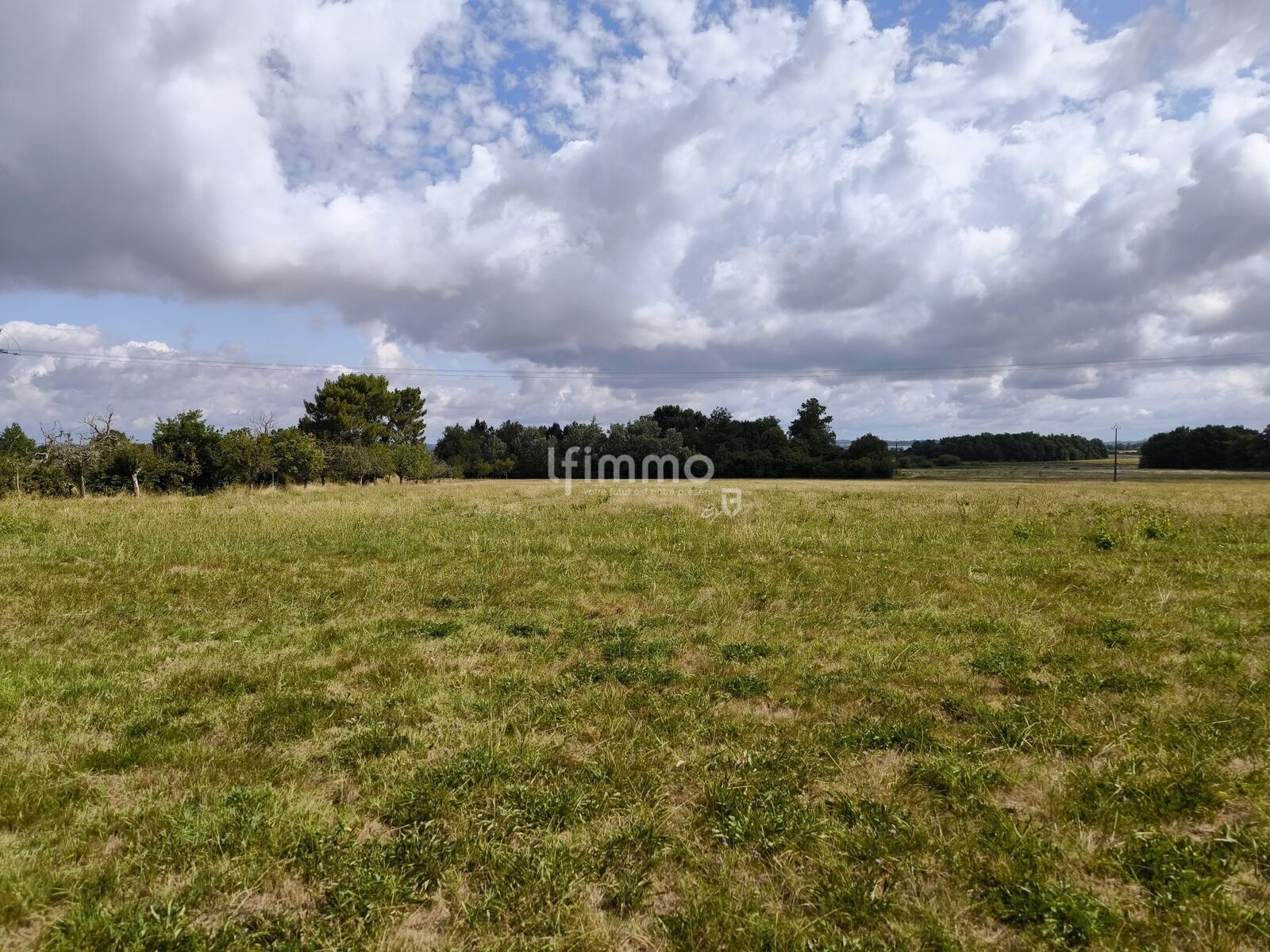 Chai de 230 m2 à rénover sur une parcelle de plus de 2 500m2 - Img 20250719 105845
