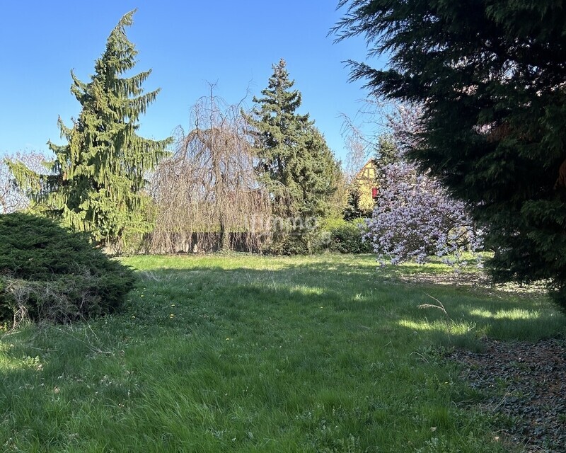 Beau terrain à bâtir viabilisé et arboré - Img 9174