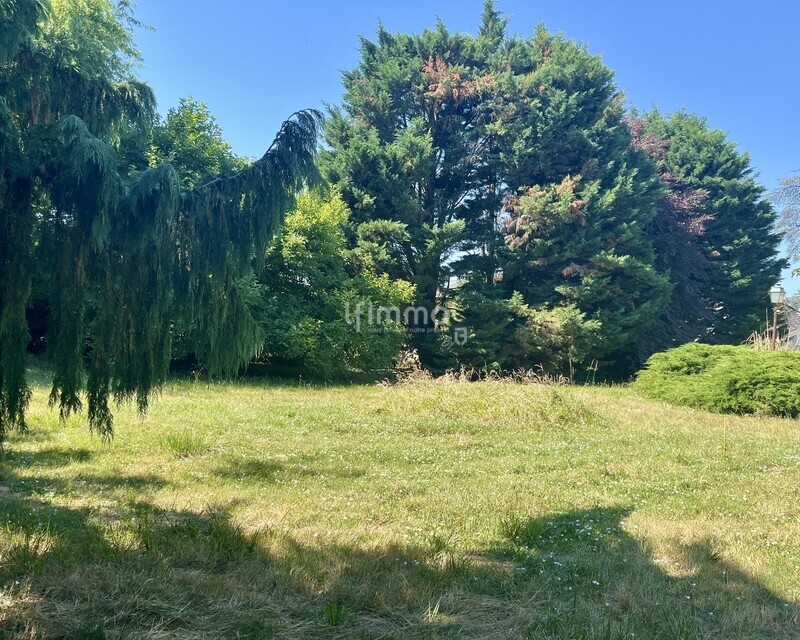 Beau terrain à bâtir viabilisé et arboré - Img e1749