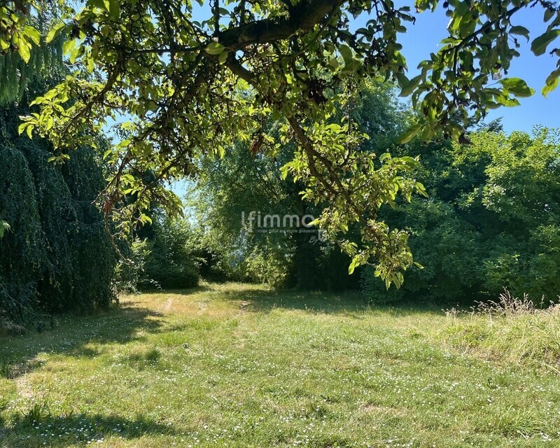 Beau terrain à bâtir viabilisé et arboré - Img e1750