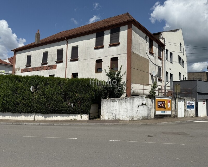 Vente immeuble à Boulay 57220 - Img 1016