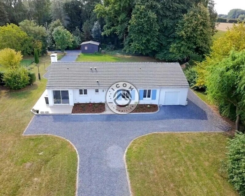 Exclusivité - Hoqi-a9acc1c5cad747b19ef87bac8791294b