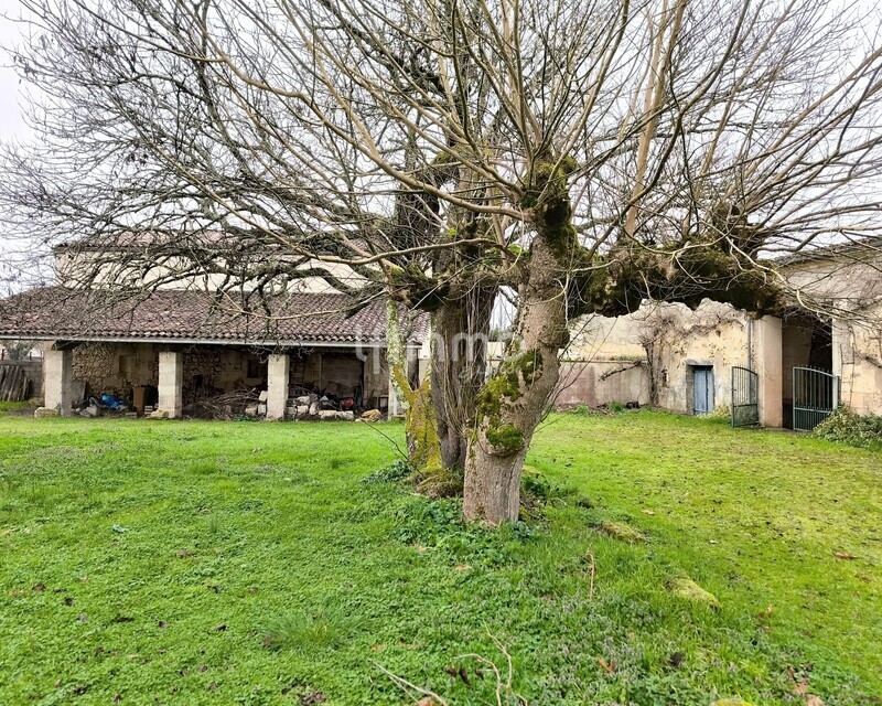 Chai de 130m2 130 000€ FAI - Img 20260204 103010