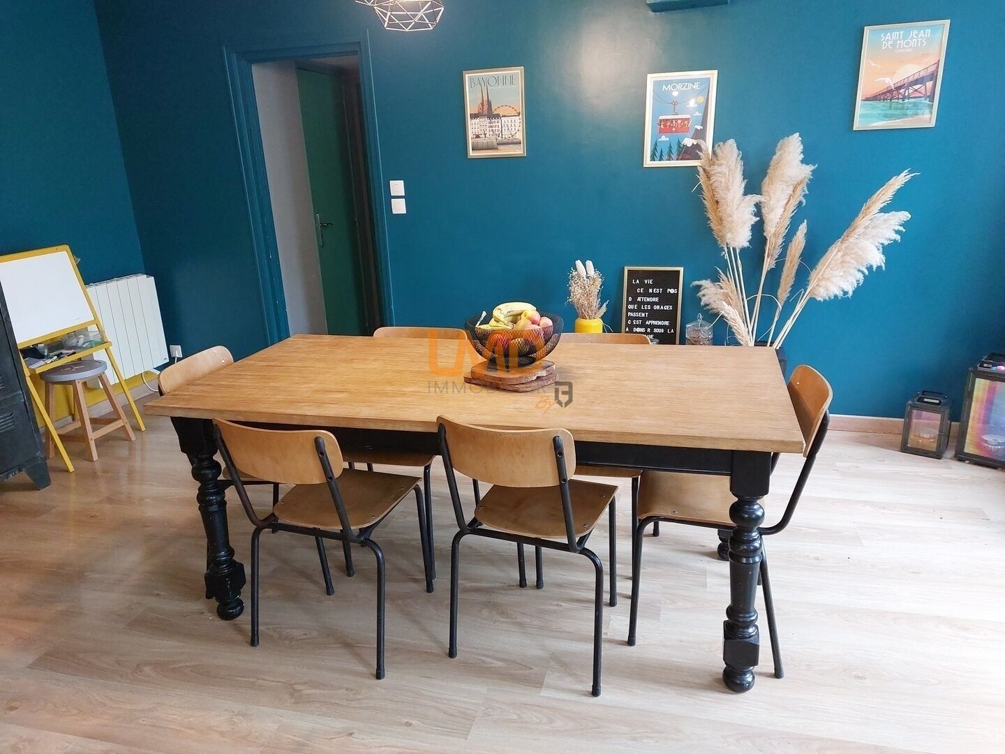 Bray-sur-Seine, maison rénovée plus grange sur terrain clos. - 20250901 185350