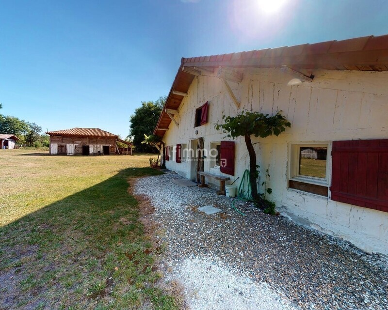 Ferme landaise  - Sabres-24