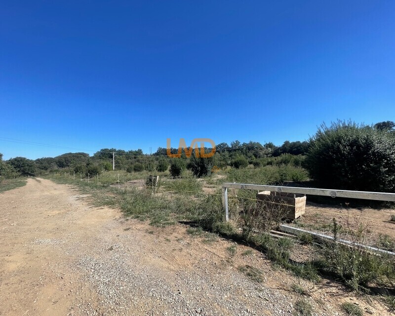 Terrain agricole 10 640 m2 à 5 min de Thuir - Img 9934