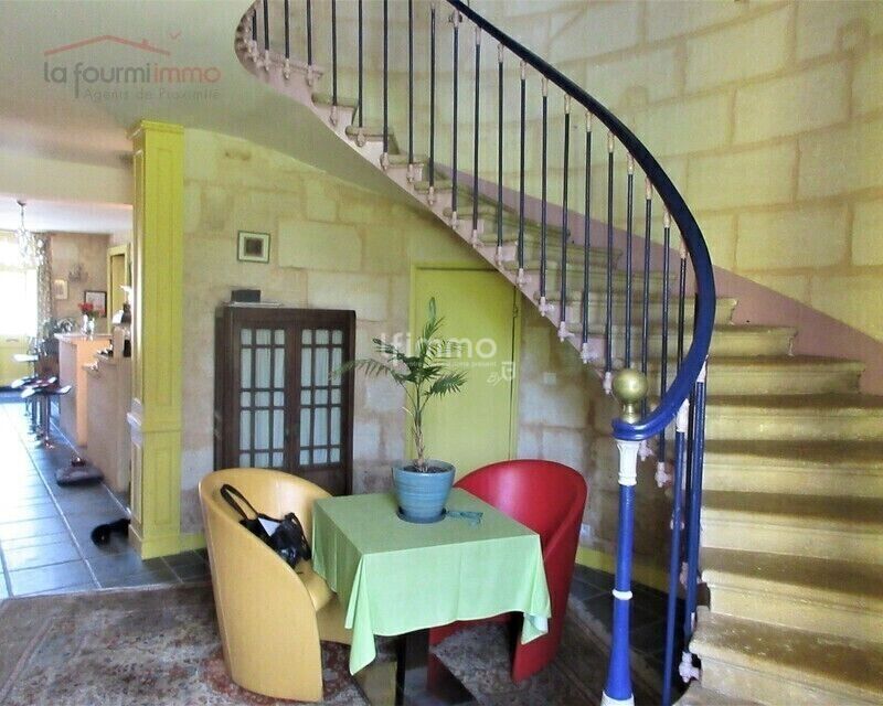 Belle Girondine - A7c0b180-3516-4708-9913-52243fb719b0-m