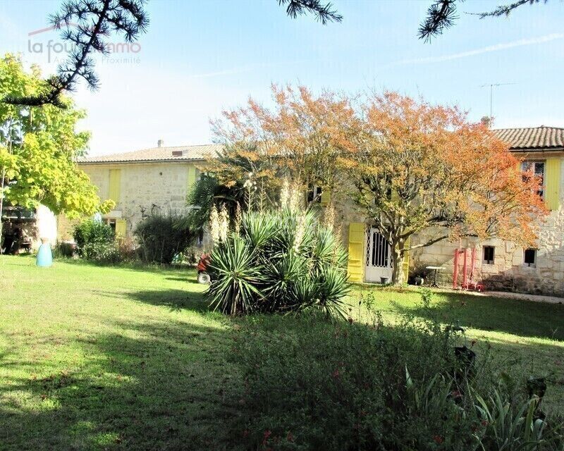 Belle Girondine - 4b189f31-586d-49ae-8f51-6a6b0233e565-m