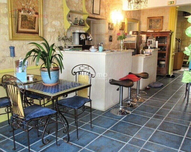 Belle Girondine - C60fb20a-c3b2-41d7-a52f-bed014a2c350-m