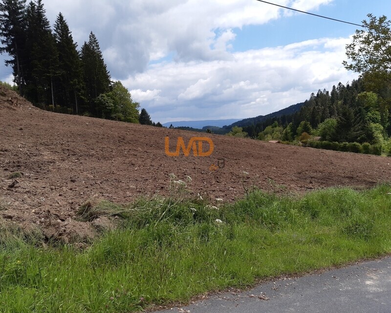 Terrain constructible - 20250523 143922