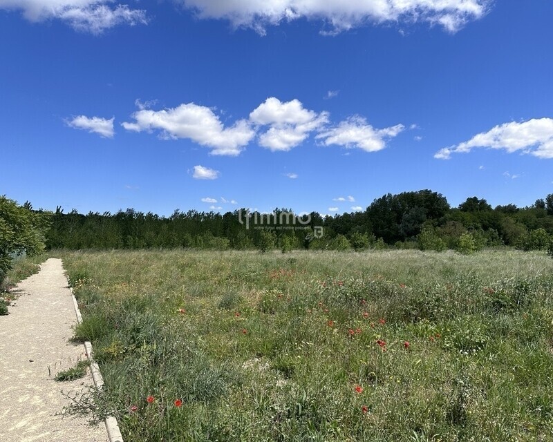 Terrain à batir entre Beziers et Bedarieux - Img 3257 - grande