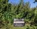 Terrain à bâtir 700 m² avec bâtiment agricole - Pxl 20240822 135157189
