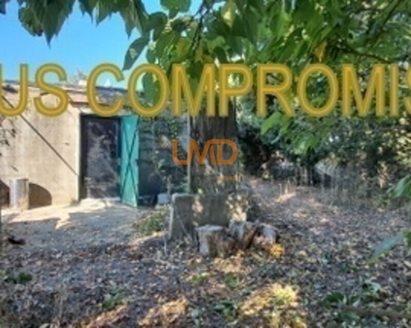 Mazet sur terrain de loisirs - 20251018 135954-001