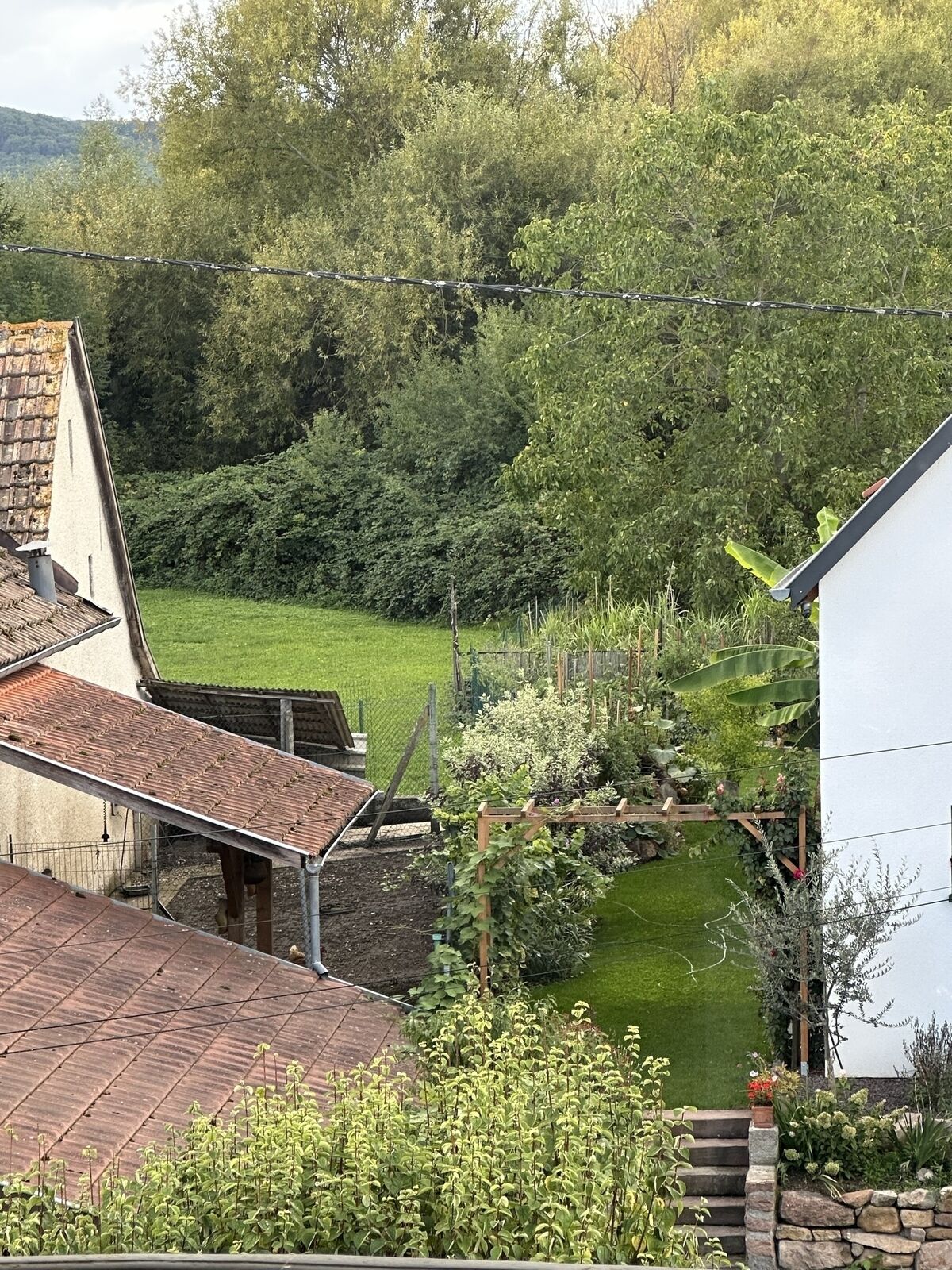 Belle maison  sur 10 ares de terrain - Img 0163  002