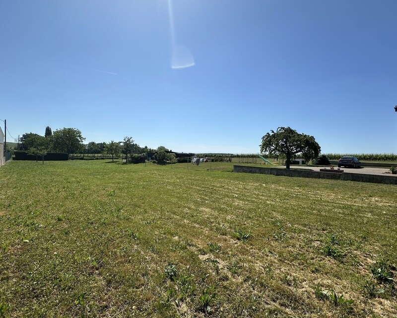 Terrain calme - Img 5787  002 