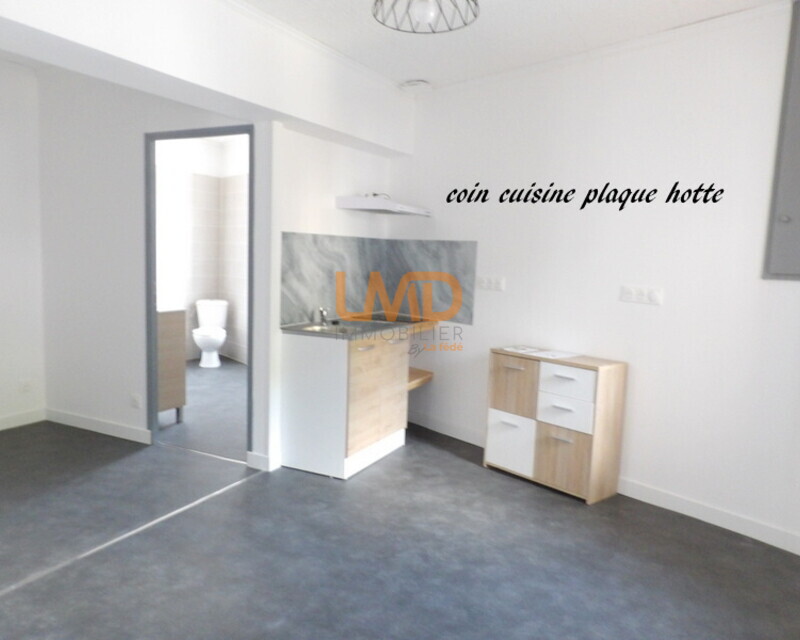 appartement T1 rénové - 100 5969