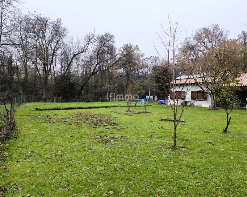 Maison à rénover – Grand terrain avec partie constructible  - Img 20251202 091210