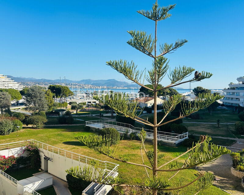 Marina – vue mer - 2 pièces avec terrasse et grand garage  - C011dba6-f46a-41ac-84a7-2d9e3c091cd6