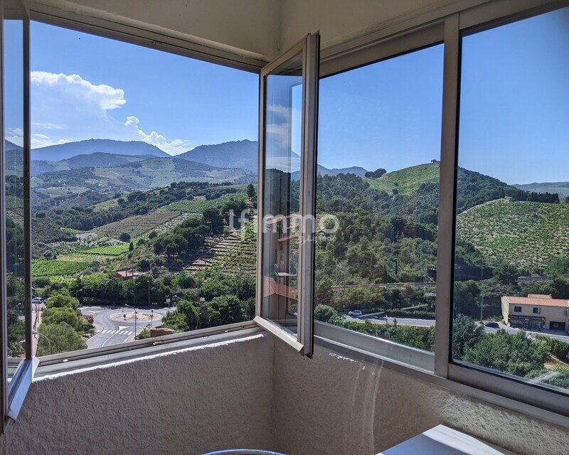 Studio de 24 m2 avec loggia & parking - Banyuls s/ Mer - Pxl 20240625 143306137