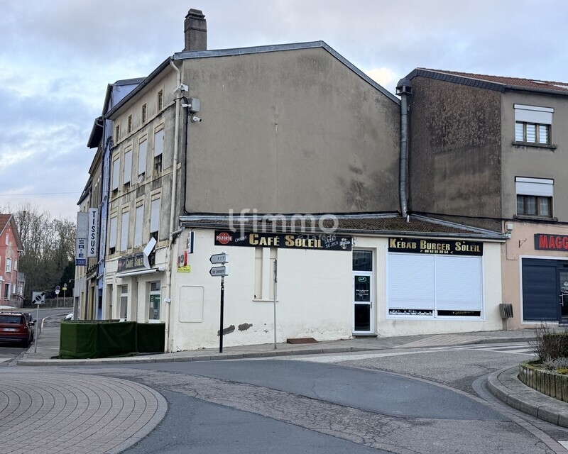 Vente Immeuble+Commerce 57220 Boulay - Img 0177