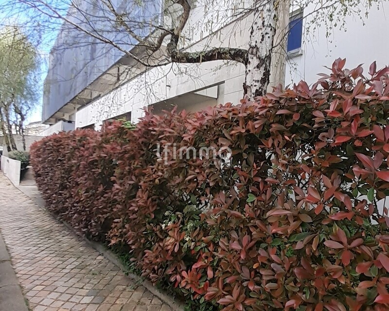  Studio 30m2, terrasse, un parking - 20260327 142711