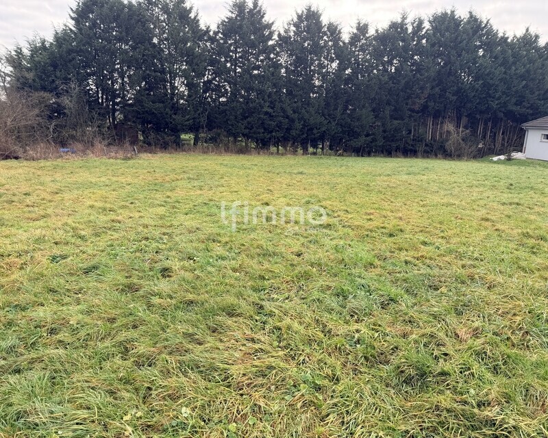 Vente terrain à Batir 57220 Condé-Northen - Img 0173