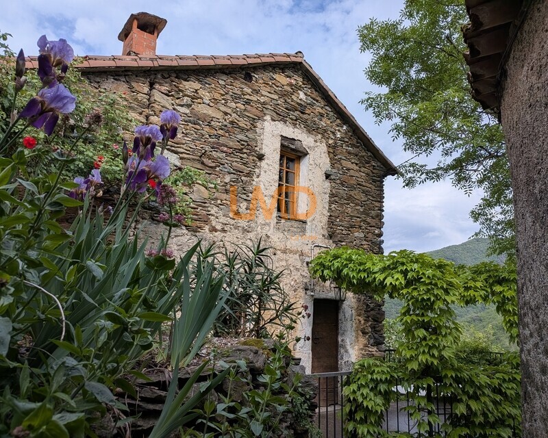 Maison de caractère au cœur des Cévennes - Pxl 20260430 153035109