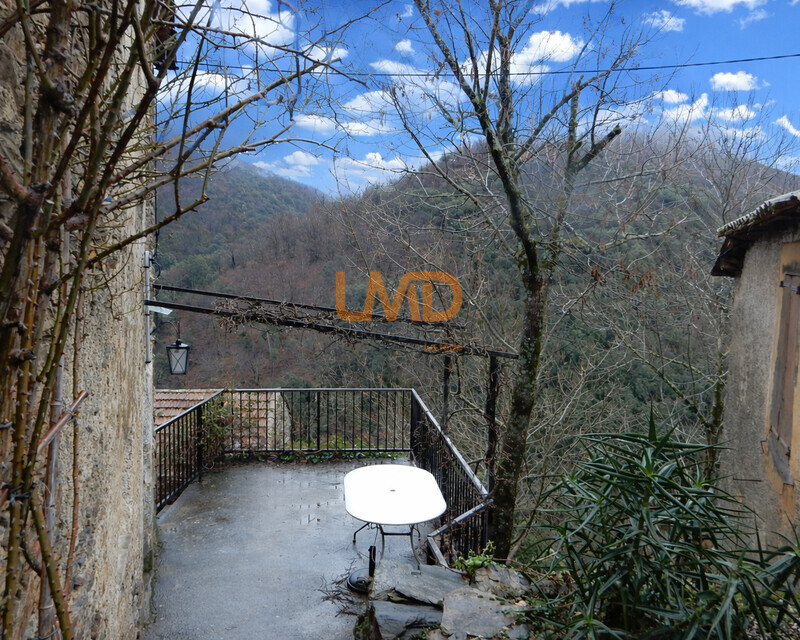 Vue vallée plein sud – Authentique maison cévenole - Terrasse et vue sur la vallée