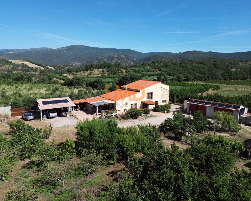 Mas en pleine nature - Dji 0063