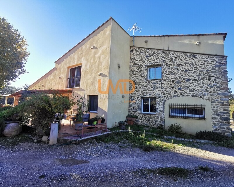 Mas en pleine nature - Img 20241128 141714