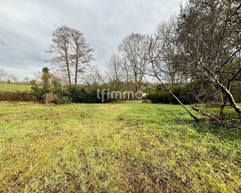 Terrain 1 709 m² – Cadre naturel au cœur du Jurançon – Lacommande - Whatsapp image 2026-02-15 at 05.50.21  2  2