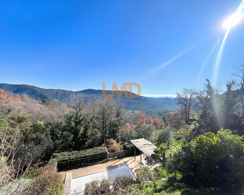 La Villa Horizon Provence - Maison 6 chambres, piscine vue panoramique - piscine-terrasse-vue-imprenable-montagne-bargemon.jpg