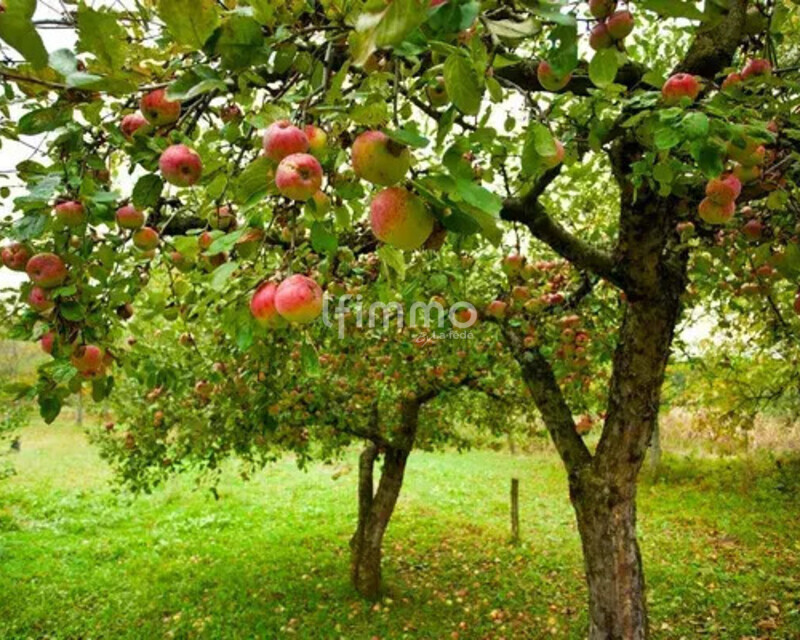 Terrain de loisirs de 900m² - Img 0921