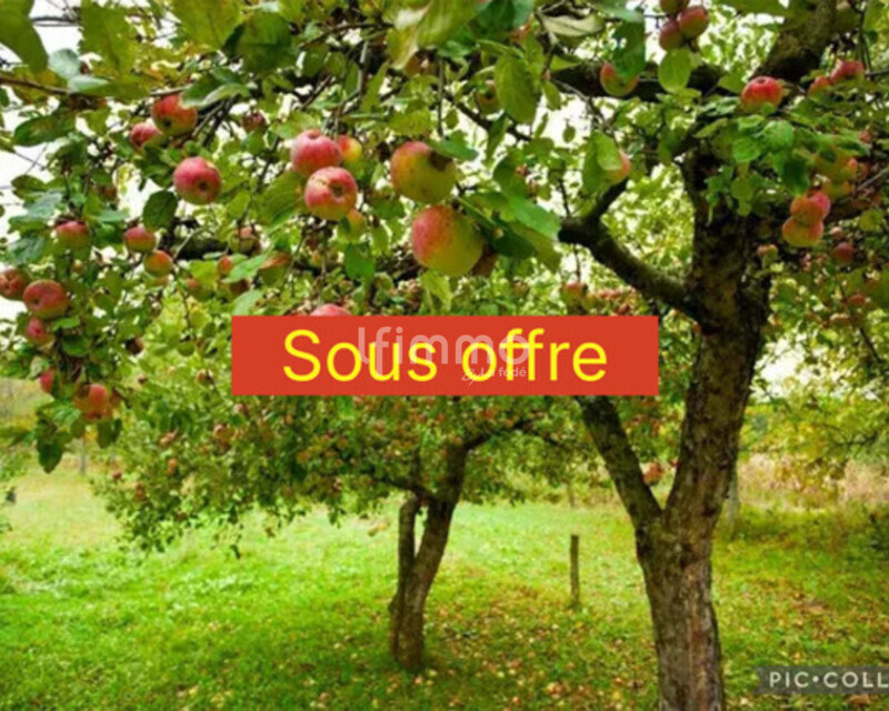 Terrain de loisirs de 900m² - Collage