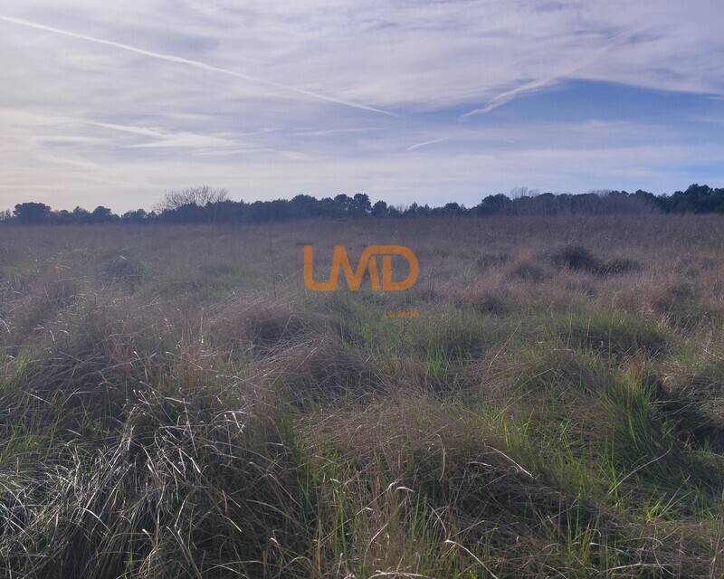 Terrain Agricole et de Loisir - Nature et Espace vert - Img 20260313 155539