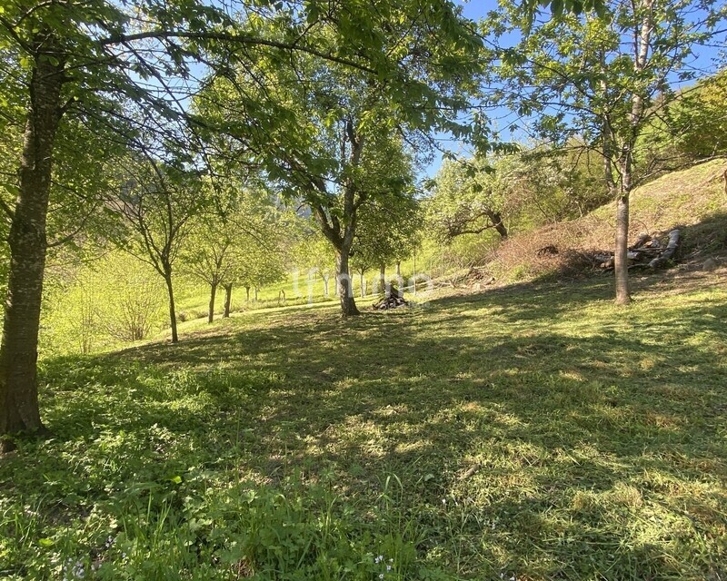 Terrain constructible 13 ares - Img 3563