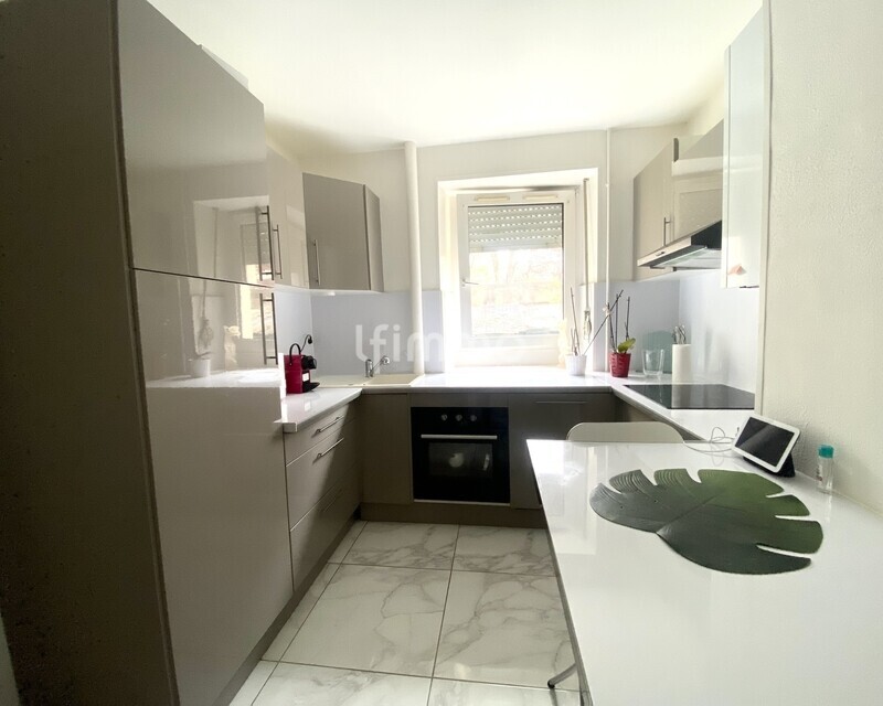 Rare  Mulhouse centre – F3 rénové avec cour privative de 90 m² - Img 9081